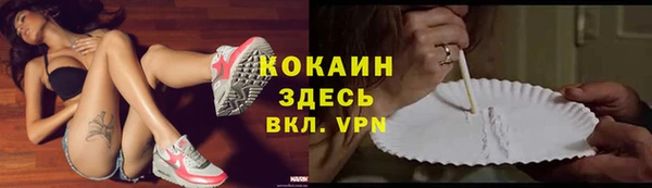 дживик Арсеньев